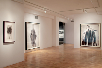view of the show 2